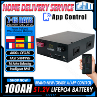 1A Active Balancing 48V 100AH LiFePO4 Battery Pack With Intelligent BMS 51.2V Rechargeable cell For Home energy storage EU Stock