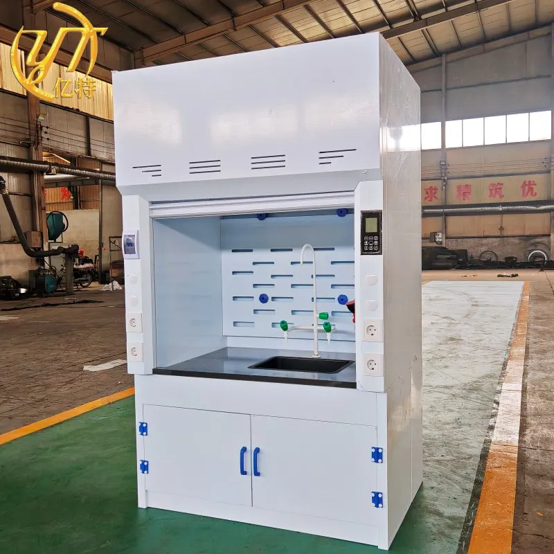 New Laboratory Fume Hoods Exhaust Fume Cupboard Chemical Gases Can Be Removed PP Fume Hood for Research Laboratory