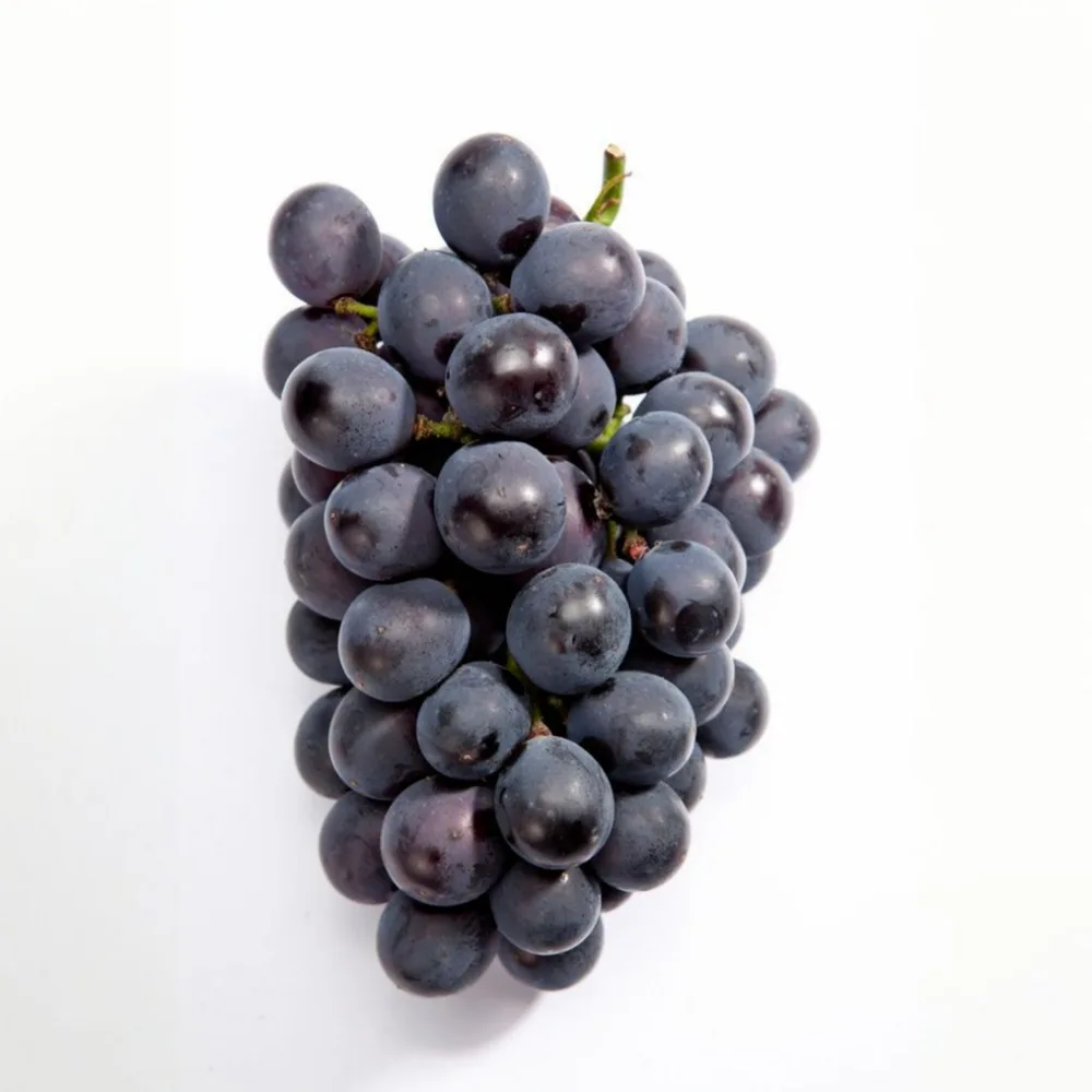 [Precio súper especial] Gaebyeong, una famosa región de montaña en la provincia de Gyeongbuk, uvas frescas, con alto contenido de azúcar y sin semillas