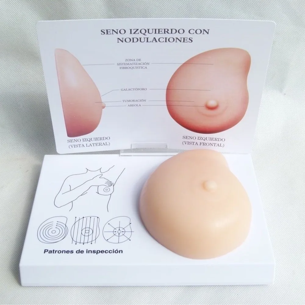 

Модель патологической анатомии человека, модель самообзажигания груди, модель патологического осмотра нерегулярной массы