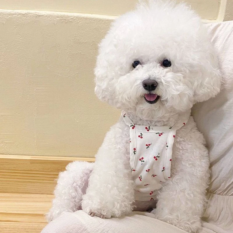 Cute Summer Dog Dress Fresh Cherry Strap Cute Buckle Strap Teddy Bears Puppy Two Legged Clothes Cat Tank Top Pet Clothes