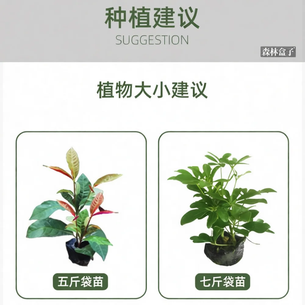 Vaso de Jardim Vertical Modula - Vertical Wall Planter avaliação e preço