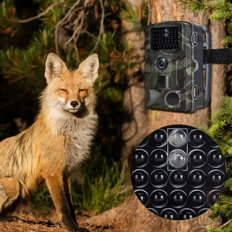 1080P Hunting Trail Trap Camera High Sensitivity Motion Detection Night Vision Video Waterproof IP66 Wildlife Camera