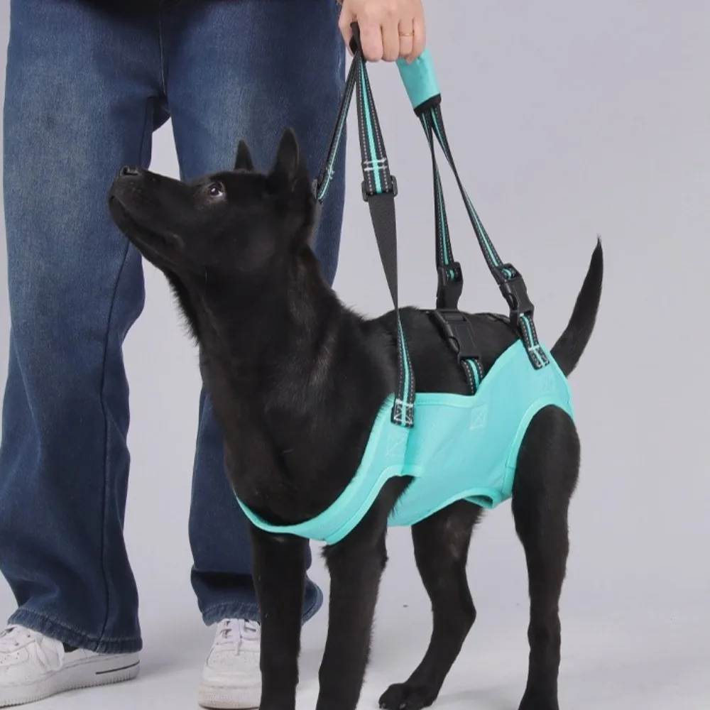 #66 Best Adjustable Pet Collars to Buy In 2026