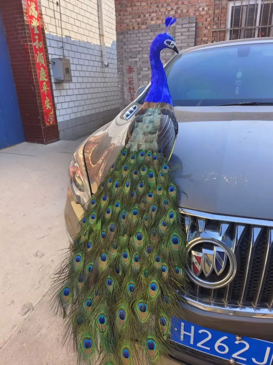 about 120cm peacock model foam&feather long tail peacock bird gift about 120cm d0562