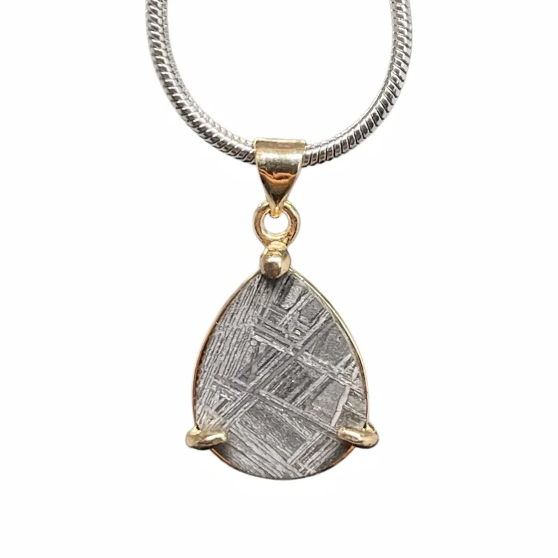 3g Gibeon Meteorite Pendant Teardrop Shape Natural Iron Meteorite Slice Necklace Mineral Collection Jewelry Gift -LK312