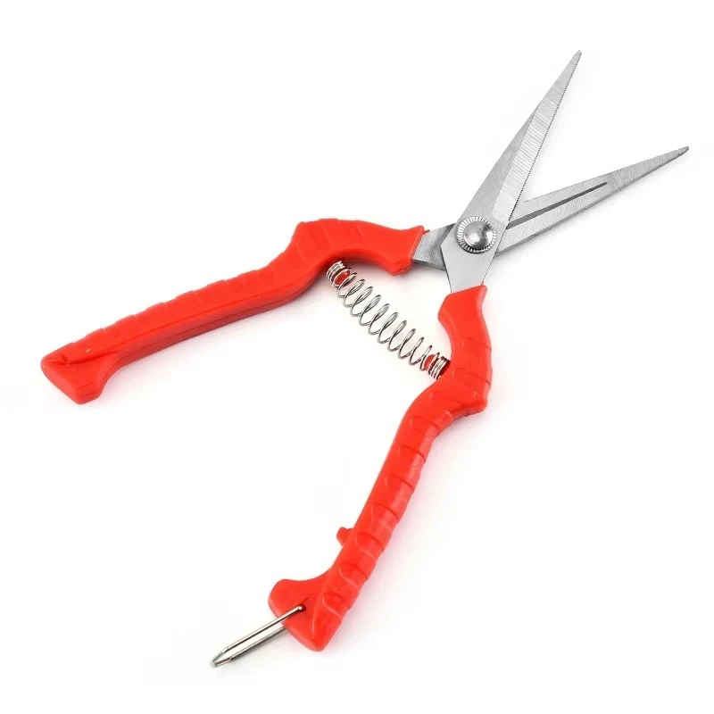 สวนเครื่องมือช่างสแตนเลสกรรไกรทําสวนกรรไกรตัดแต่งกิ่ง Pruner Secateurs