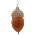 Quercus Shiraki