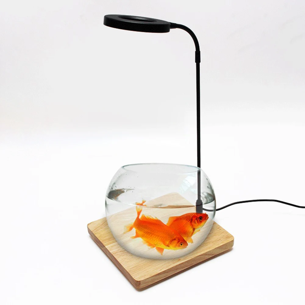 Luce per acquario a LED USB Base in legno Piante acquatiche Lampada per illuminazione per coltivazione 10W 6000K Pianta bianca calda Coltiva la luce per acquario
