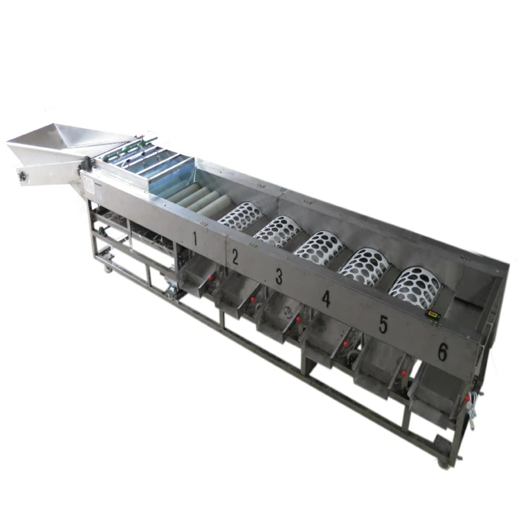 Easy Operation Tomato Potato Fruit Sorting Systems Lemon Apple Sorting Machine Grader Machine