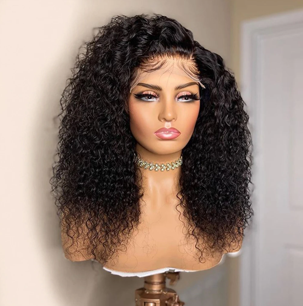 fashiomag-afro-long-kinky-curly-natural-black-lace-front-heat-resistant-fiber-wigs-women-soft-natural