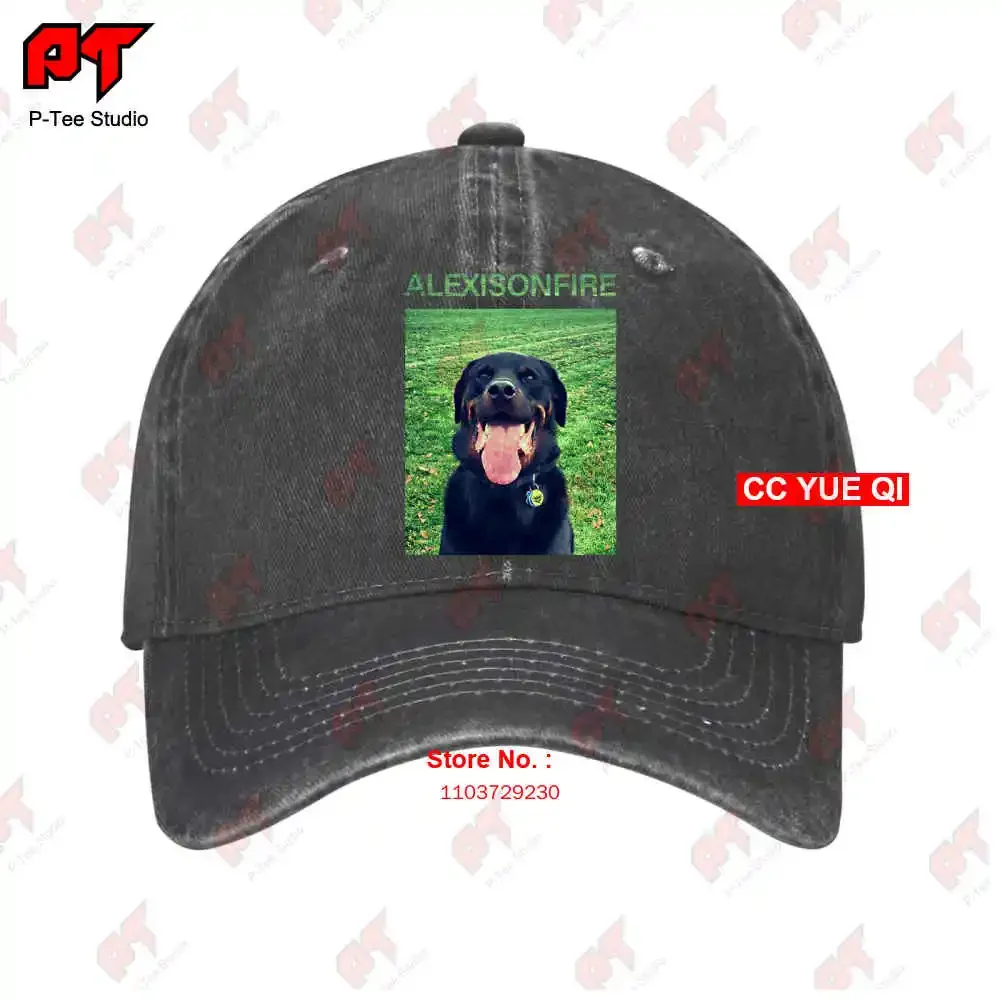 Dog Alexisonfire Baseball Caps Truck Cap S266