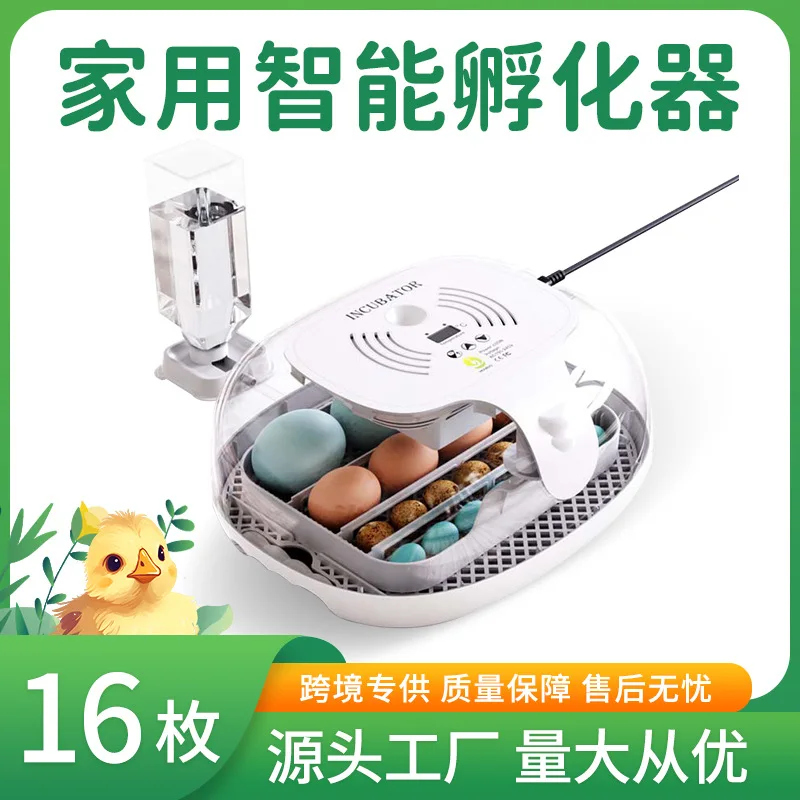 Suitable Forwonegg … - image