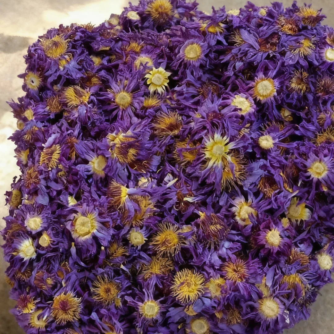 Flor de loto seca de lujo N.O-00 – Flor natural aromática para hacer velas de jabón y perfumes con sabor a loto