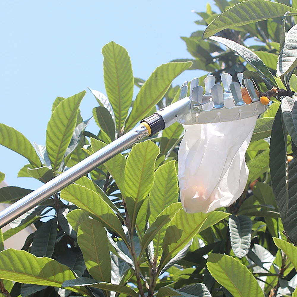 2.4M Bovenste Lucht Fruitplukker Gereedschap Uitbreidbare Opbergtas Rvs Oranje Boom Fruitvanger Lichtgewicht