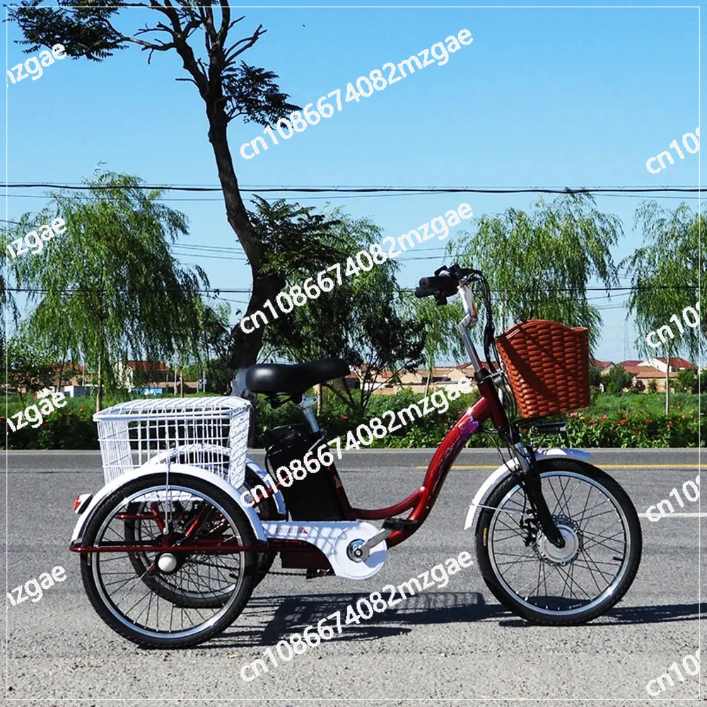 

3 Wheel Electric Tricycle Cargo Bike 20 Inch 350w 48v, Family Electric Vehicle for Women Men Adults with Pull Basket