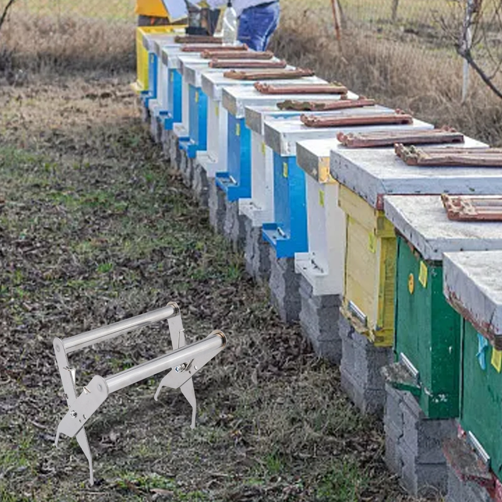 Stainless Steel Hive Frame Clip for Beekeepers Performing Regular Frame Inspections and Brood Pattern Assessments