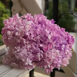 Gradient Color Preserved Hydrangea Home Decoration Wedding Decoration Small Leaf Anna Hydrangea Epoxy Handmade DIY Material