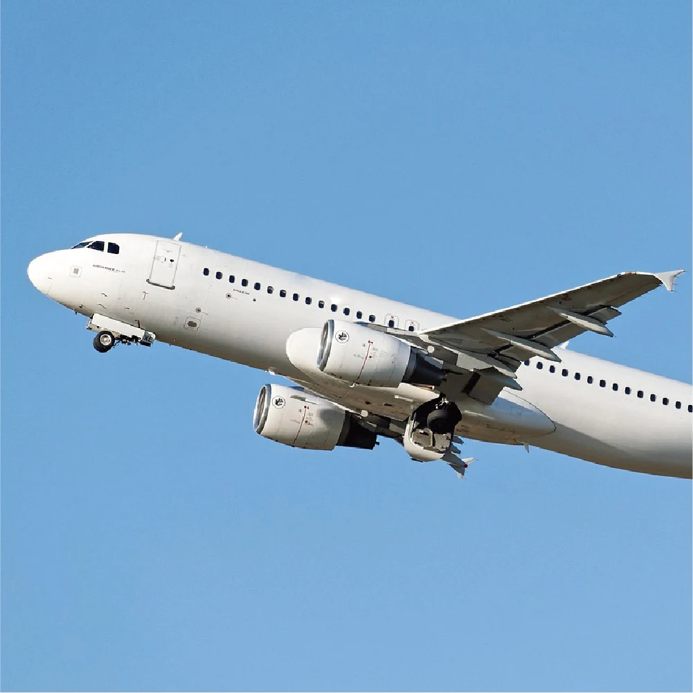 Servizio di qualità avanzato, ottieni campioni aggiuntivi, collegamenti esclusivi, personalizzazione di alta qualità, Fedex Ups, Tnt