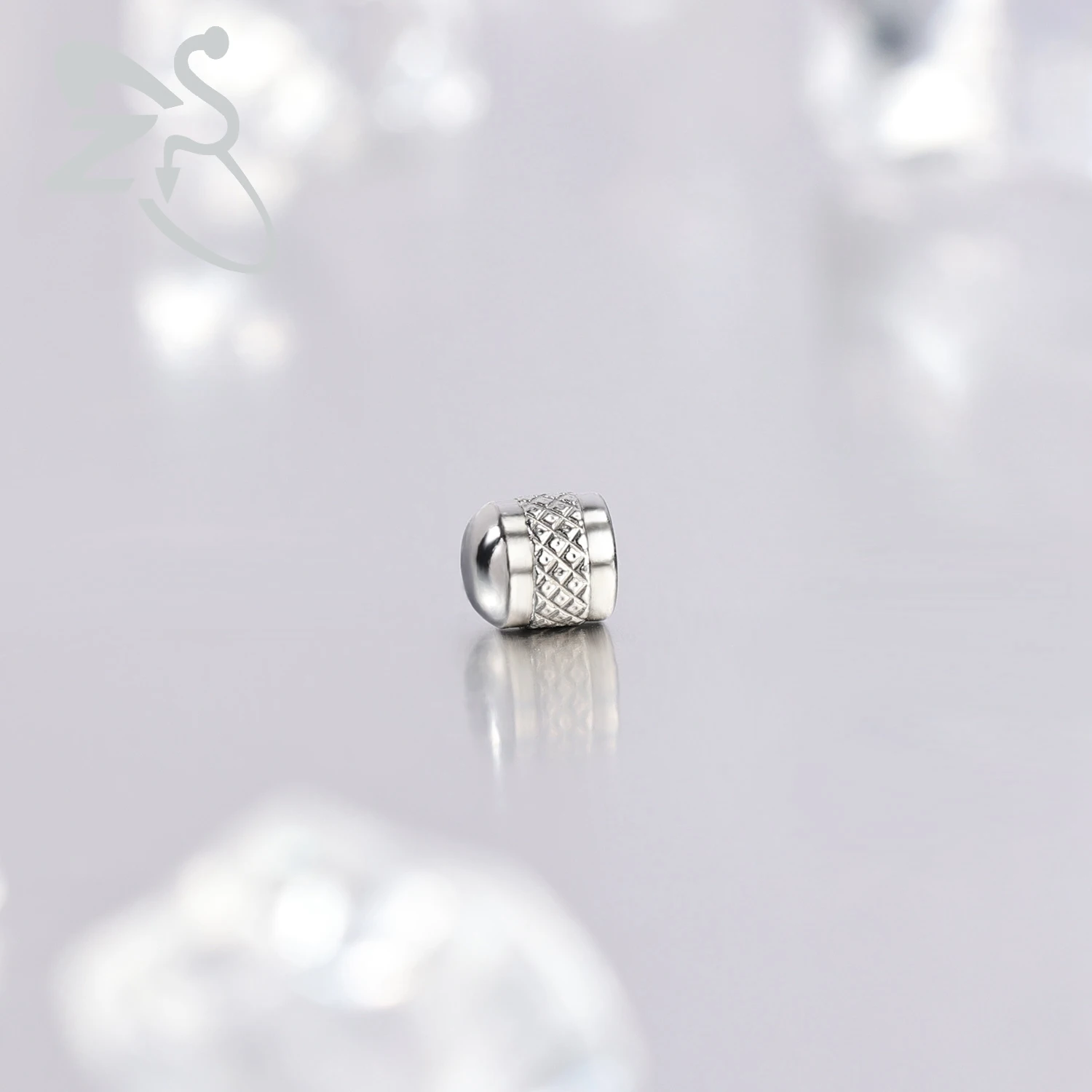 ZS 2-10 sztuk / partia Kolczyk – Zs Body Jewelry recenzja i cena