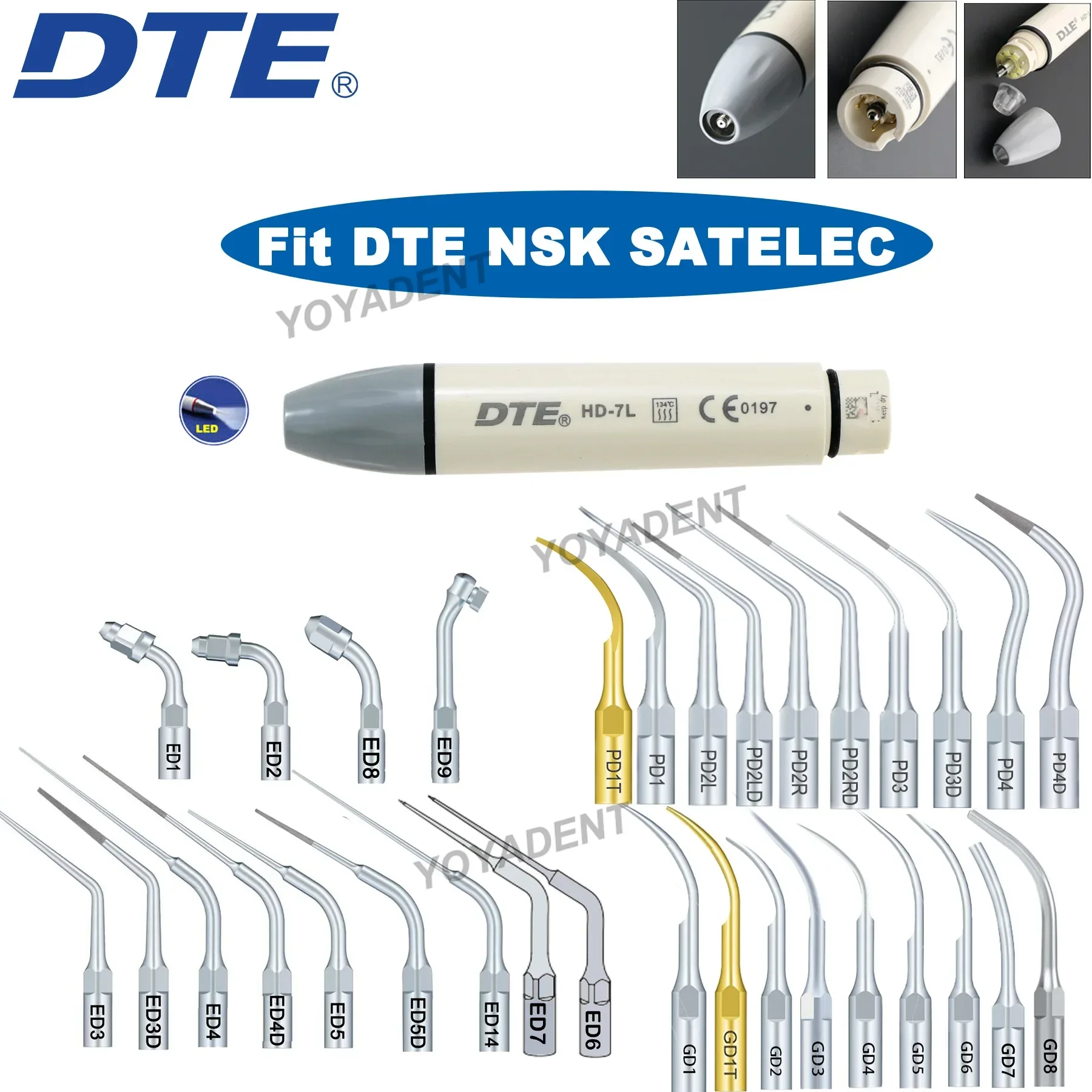 Pic de calcul DTE Détartreur piézo-électrique à ultrasons dentaire, Pièce à main LED HD-7L Conseils de mise à l'échelle Fit DTE NSK SATELEC Outils dentaires