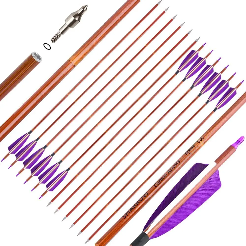 

31.5" Archery Carbon Arrows Spine 500 ID 6.2mm Arrow 4" Feathers Bow Hunting Shooting Target 100 Grain Threaded Points 6/12pcs