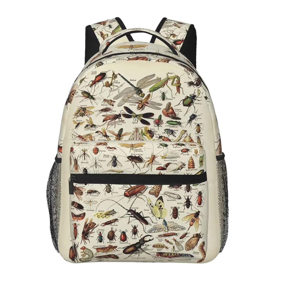 

Insects Chart. Scientific Illustration, Text In French Backpacks Boys Girls Bookbag School Bags Laptop Rucksack Shoulder Bag
