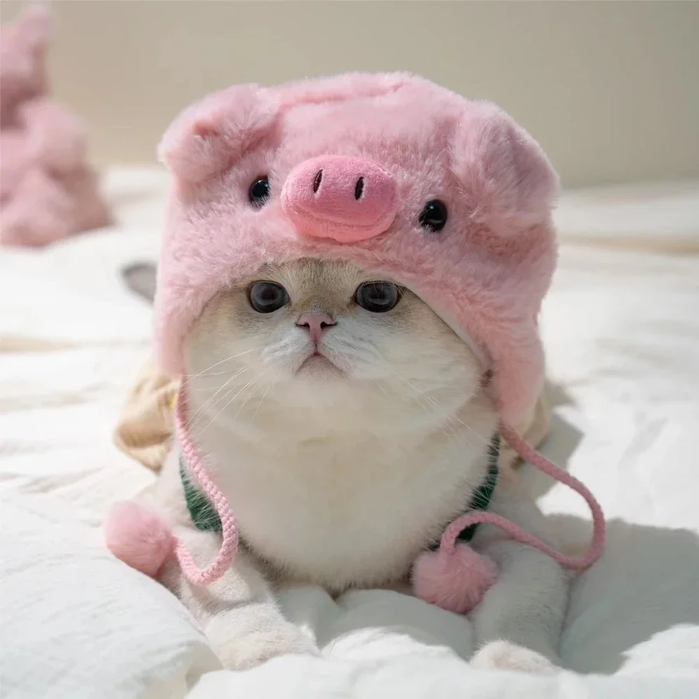 Lindo conjunto de sombrero de disfraz para mascotas, disfraz de cerdo, Panda, polluelo, oso, sombreros para medios sociales, fotos, vídeos, contenido