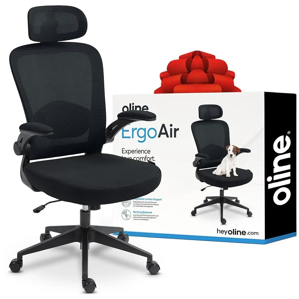 Ergoair Ergonomic Office Chair – Adjustable Lumbar Support, Flip-Up Armrests, Mesh Computer Desk Chair, Swivel Rolling