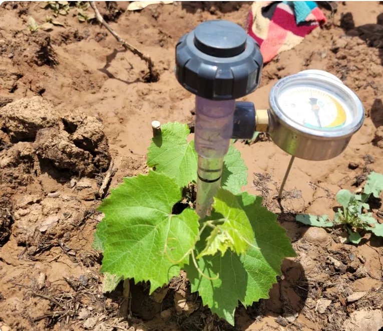 Smart Agricultural Tensiometer - Precision Farming Smart Agriculture ulasan dan harga
