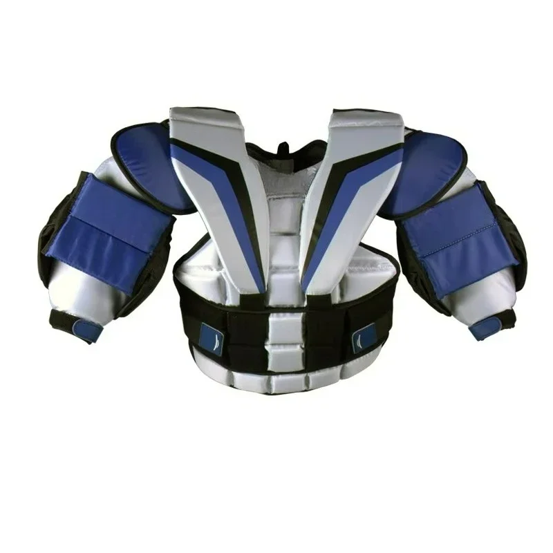 Professional Ice Ho…