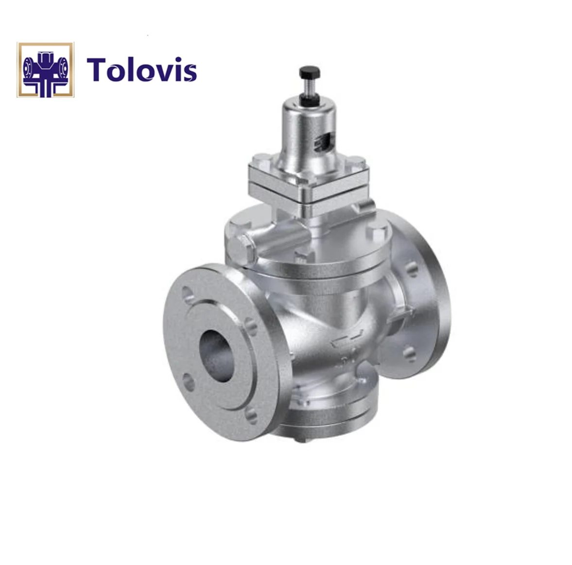 

TOLOVIS High quality and Reliable check valve pp TSGP1000 pilot valve type piston steam reducing valve DN15-DN100 flanged joint