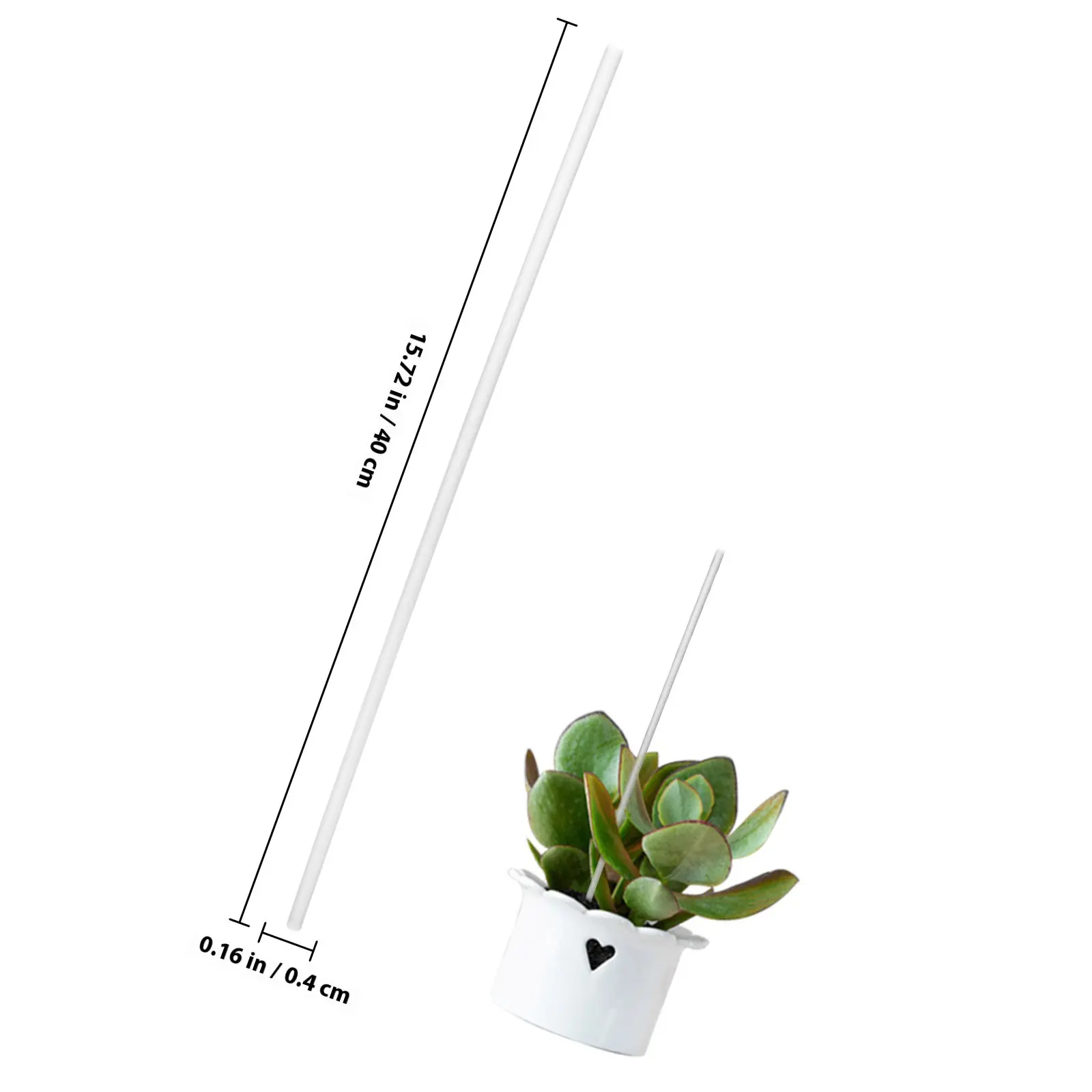 1Set Clear Acrylic Plant Support Stakes Orchid Clips Vine Climbing Stem Support for Garden Plants Plant Stakes