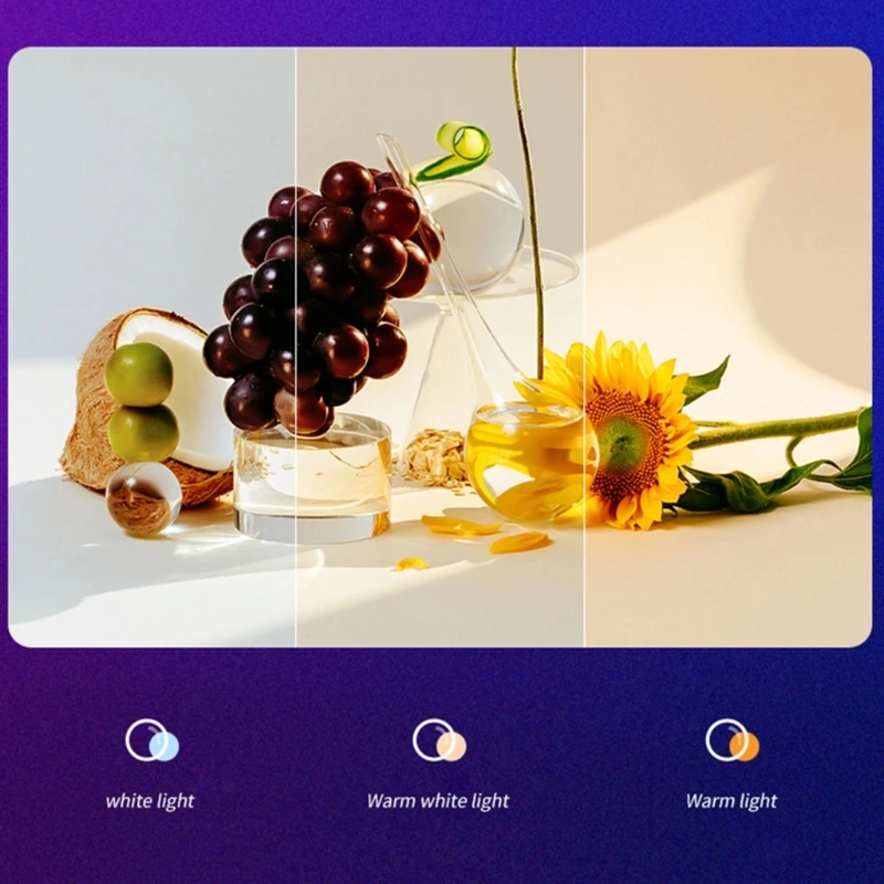 LED Video Light, 3000K-7000K Dimmable Continuous Photography Lighting for Tabletops/Low-Angled