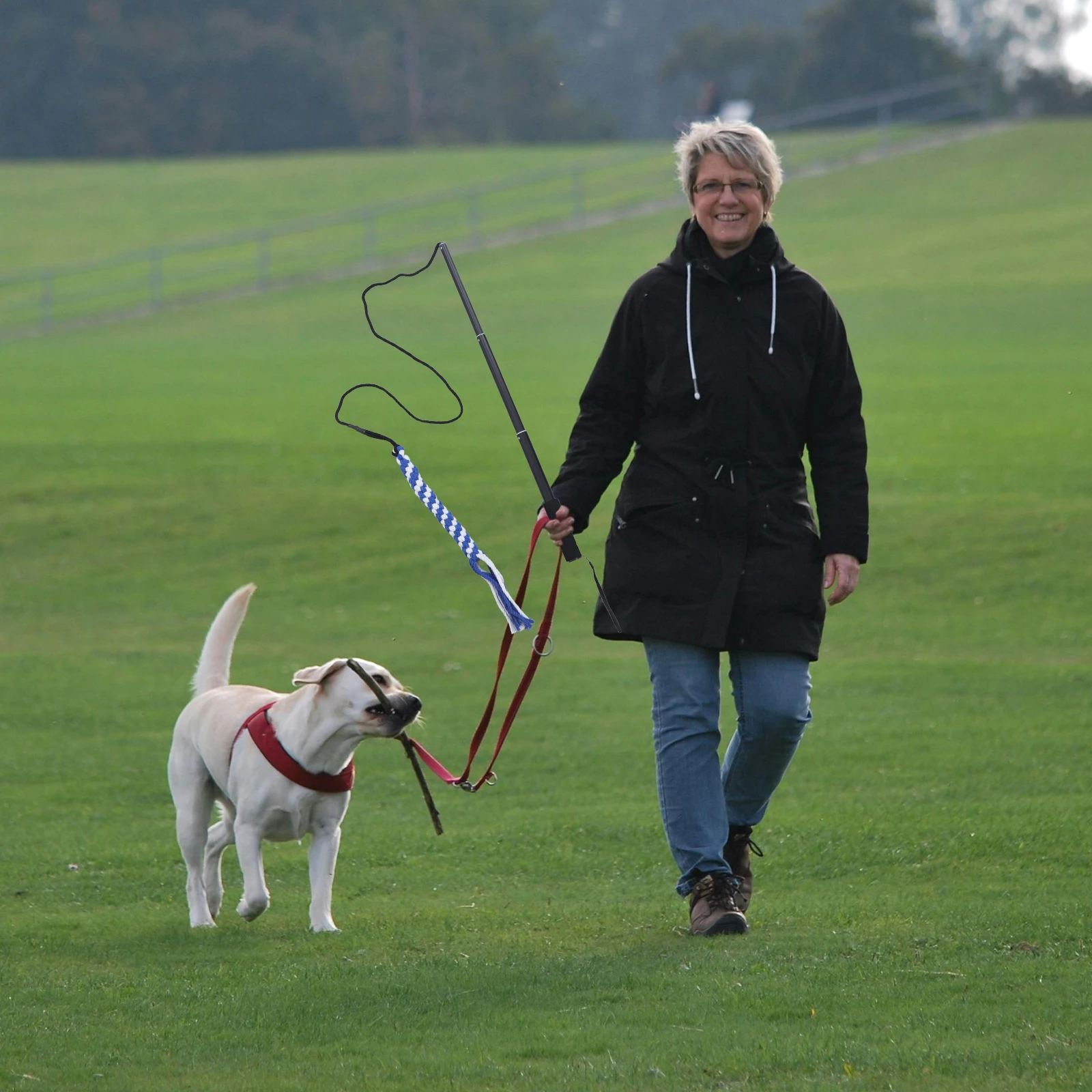 

Dog Teaser Stick Extendable Flirt Pole Chasing Long Pole for Dogs Pet Training Portable Storage Practical