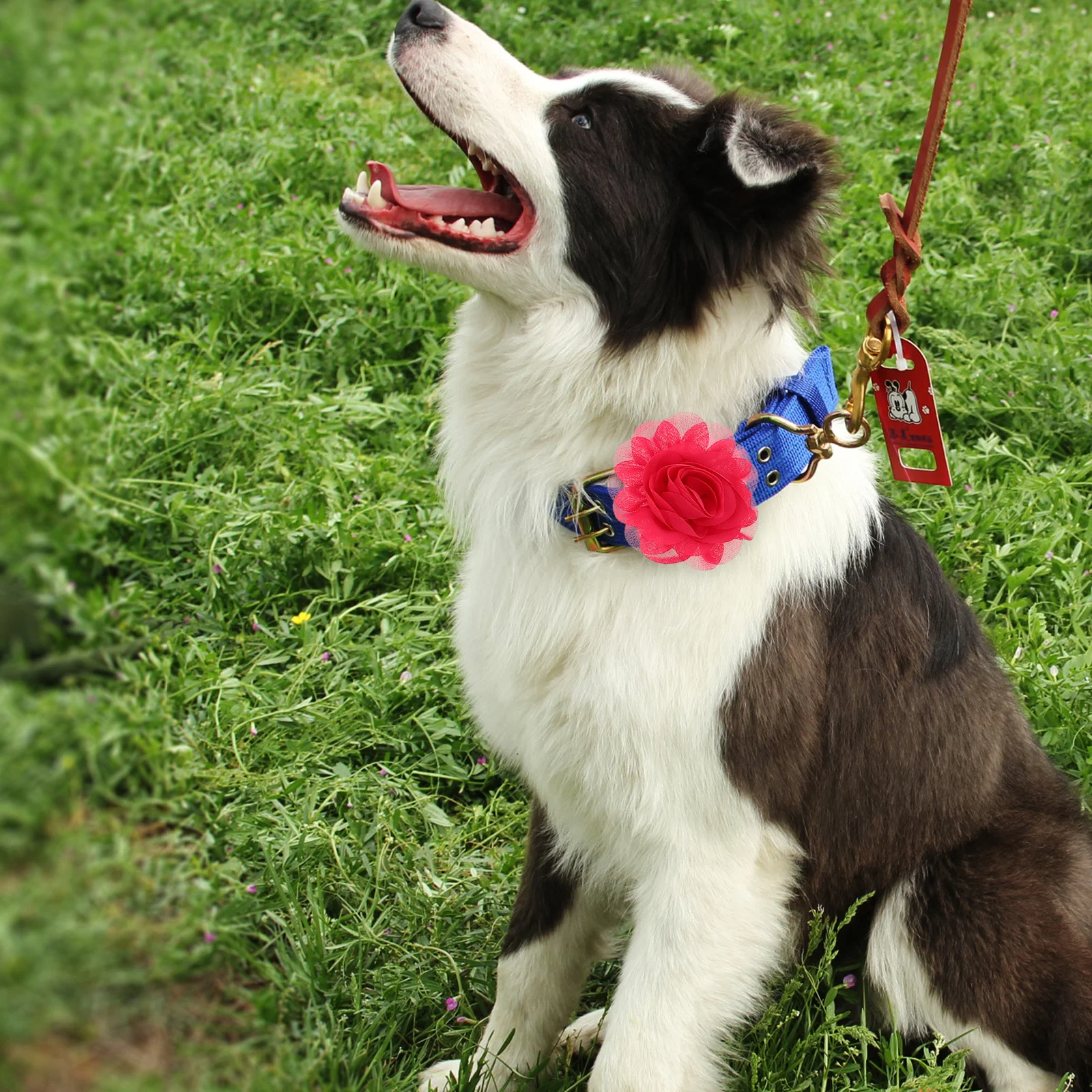 

20Pcs Chiffon Flower Dog Bow Tie Pet Collar Charms Multi-Color Floral Grooming Accessories for Cats Puppies All Sizes