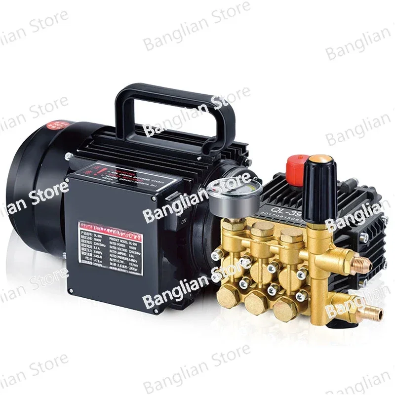 Brass Plated Triplex Plunger Pump Household Washing Machine High Pressure Washer Car Wash 1.6-1.8KW 80-100bar 10LPM