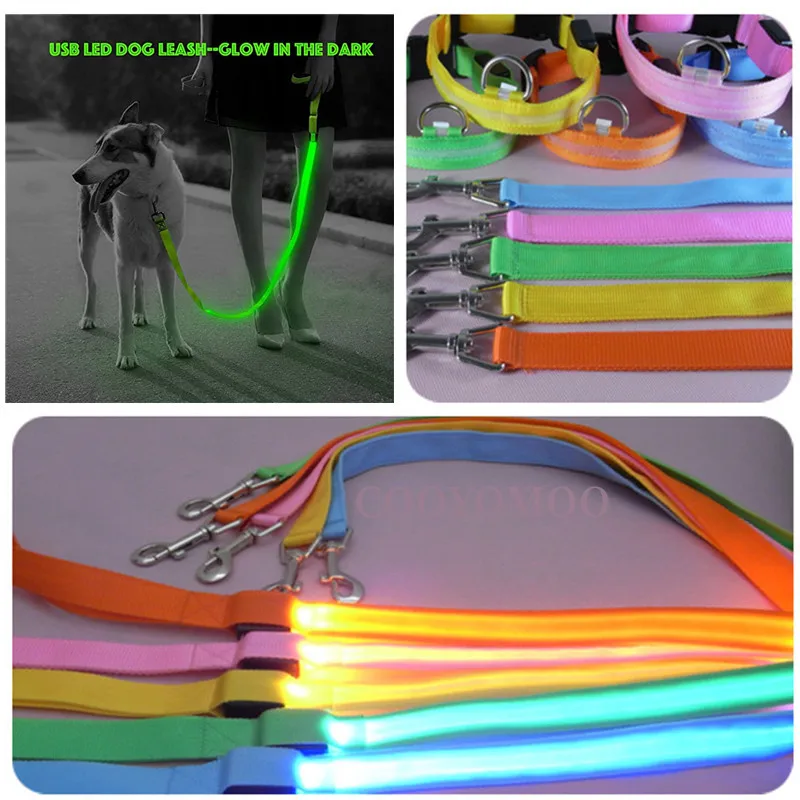 Led Pet Dog Leash 1