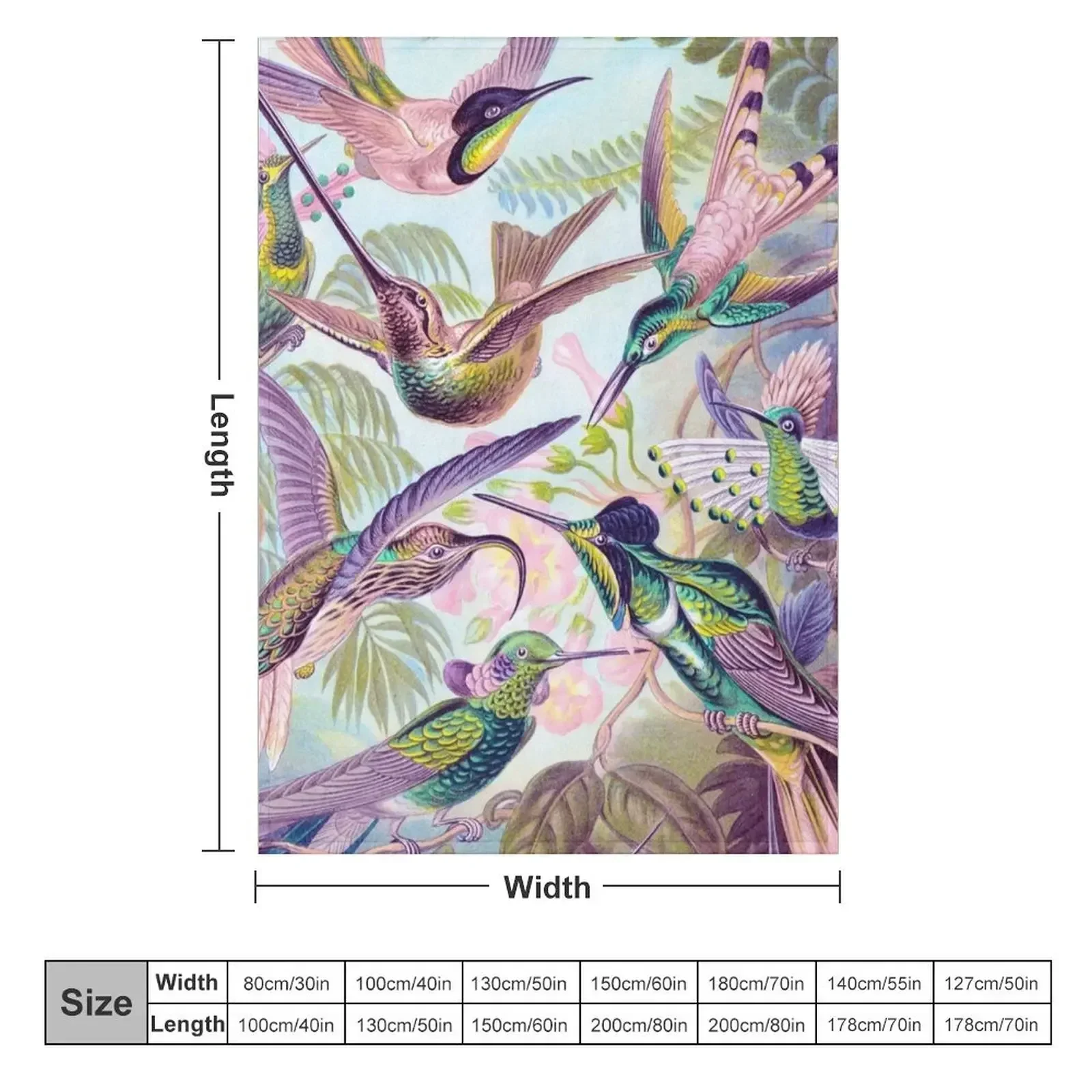 Pink: Haeckel Hummingbirds 1904 Throw Blanket couch cozy soft plush fuzzy picnic outdoor blanket