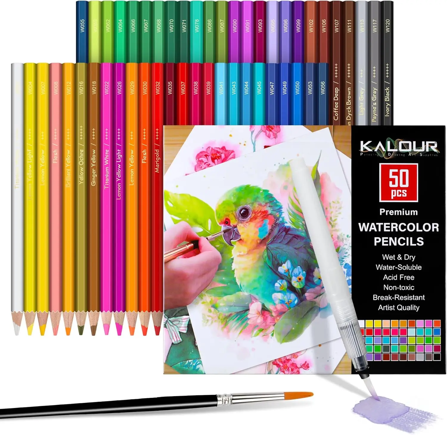 

50-Color Watercolor Pencils Set with Brush, Blendable Wet or Dry for Art and Coloring Books