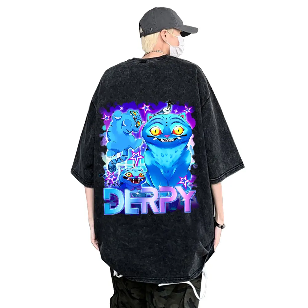 

Washed Vintage Kpop Demon Hunters Derpy Tiger Double Sided Print T-shirt Men Women Fashion Cartoon Trend Street Crewneck T Shirt