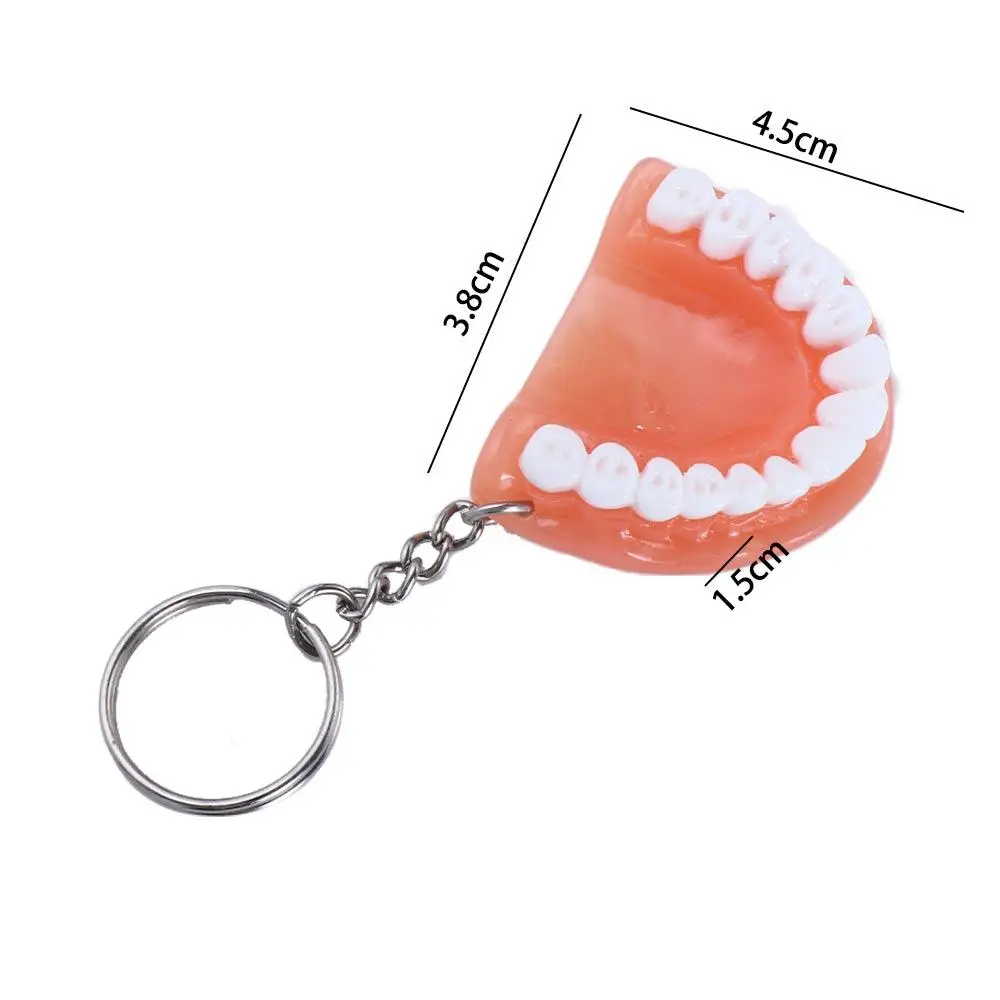 Creative Dental Decoration Upper Jaw Teeth Shape Resin Teeth Pendant Teeth Keyring Denture Key Chain Tooth Key Chain