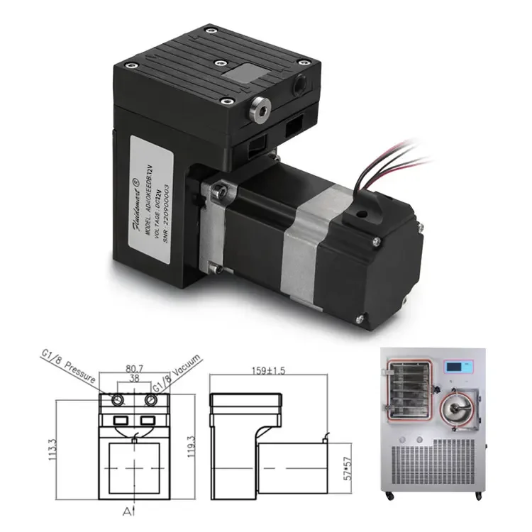 Electric 24V dc small diaphragm pump oil free corrosion resistance micro brushless vacuum air pump for automation