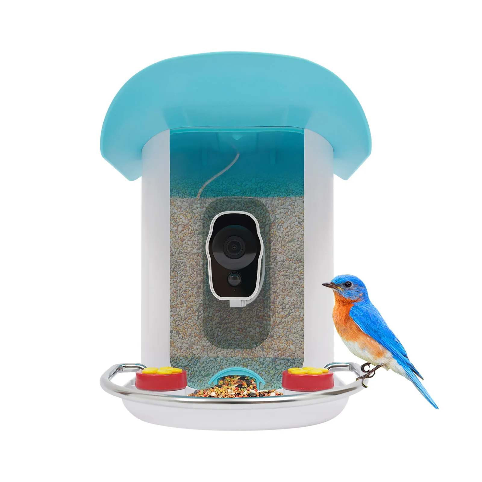 Picture 6: Solar Bird Feeder with Waterproof 1080p HD Camera Night Vision AI Recognition