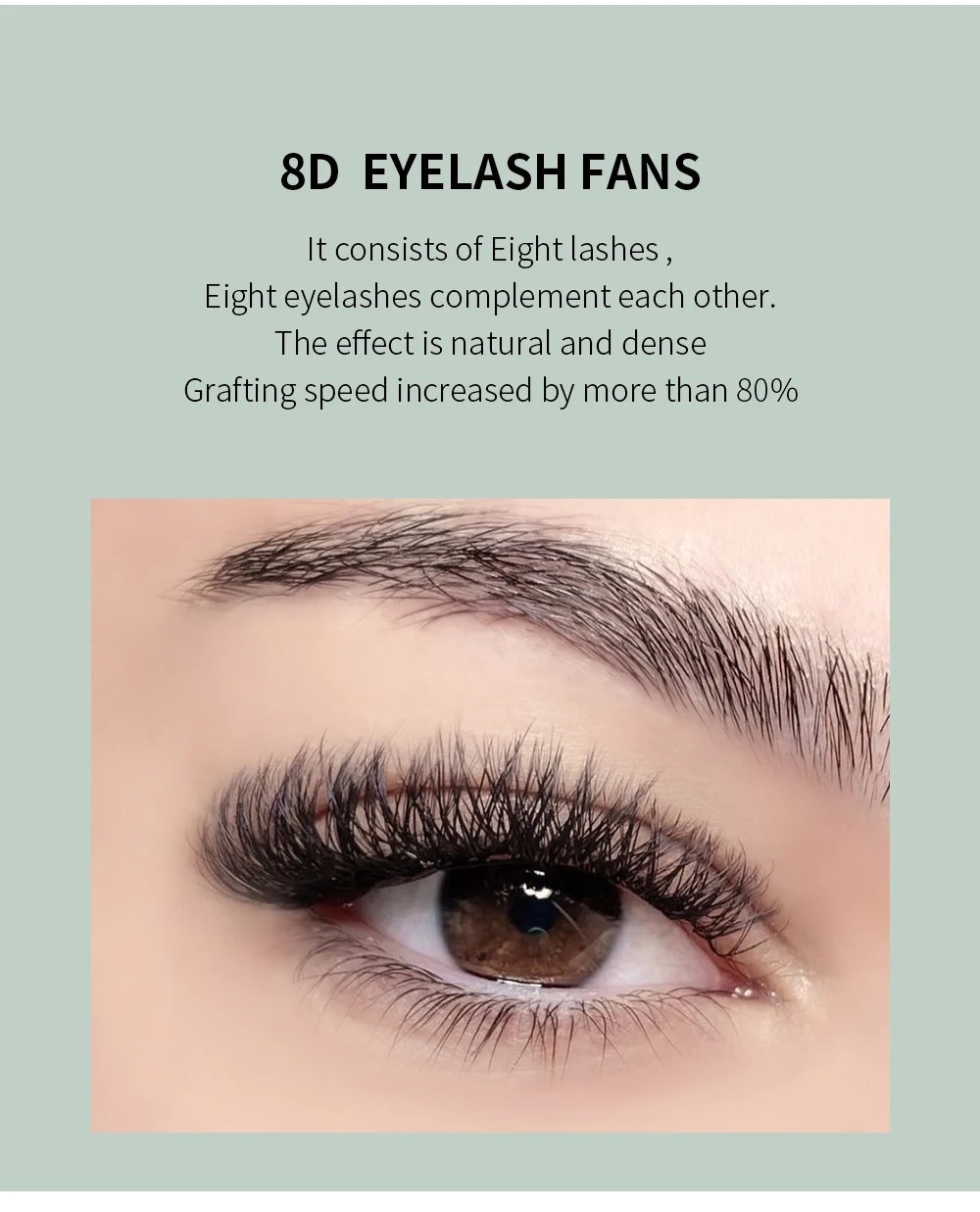Glamlash 8d-w geformte Wimpern verlängerung c/d/l/lu/m vorgefertigte Volumen ventilatoren Klee w Stil Wimpern falscher Nerz weich leicht fanierend natürlich – Detail 3
