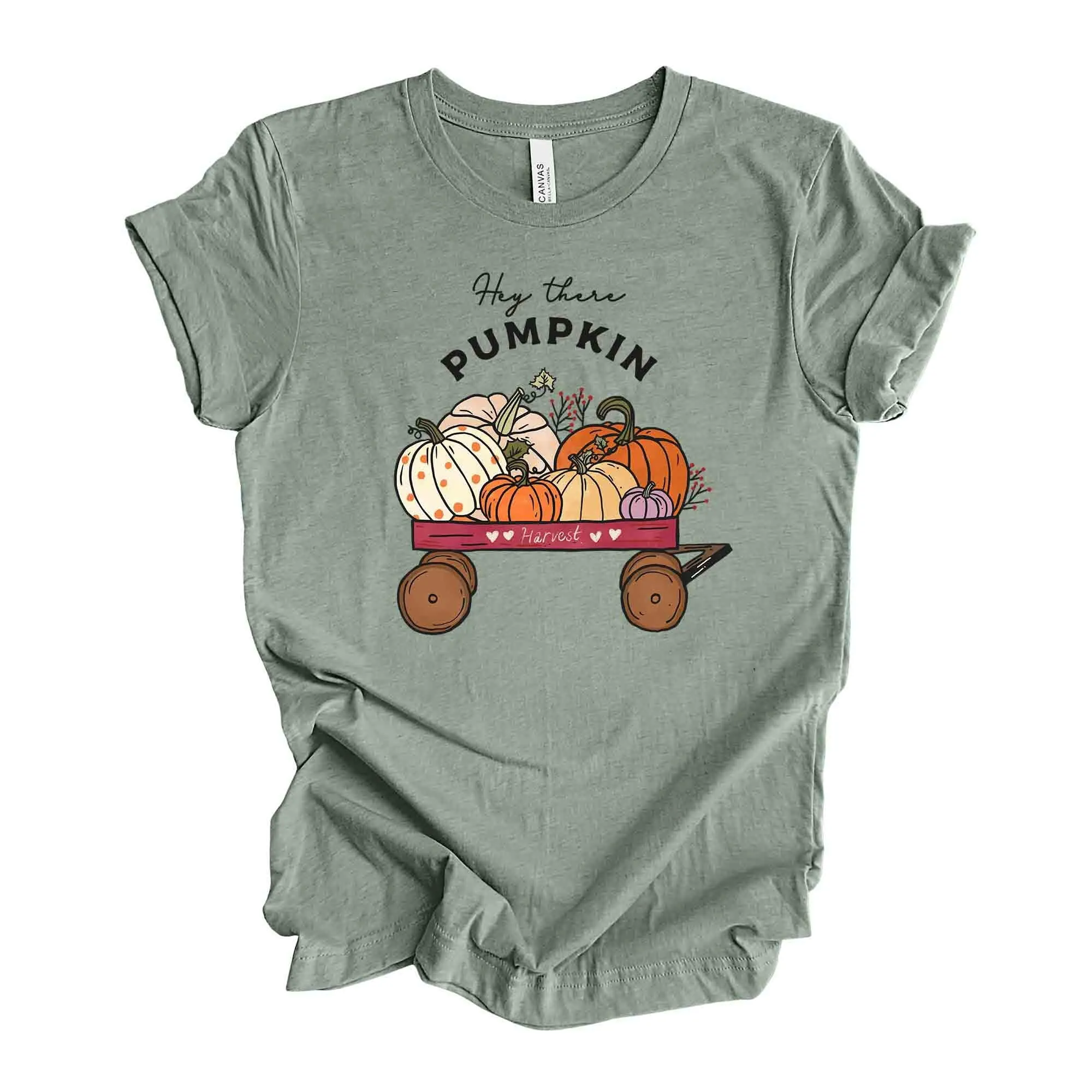 Fall T Shirt Super Cute Little Red Wagon Full Of Pumpkins Hey There Pumpkin Design On Premium Unisex 3 Color Choices 3X 4X