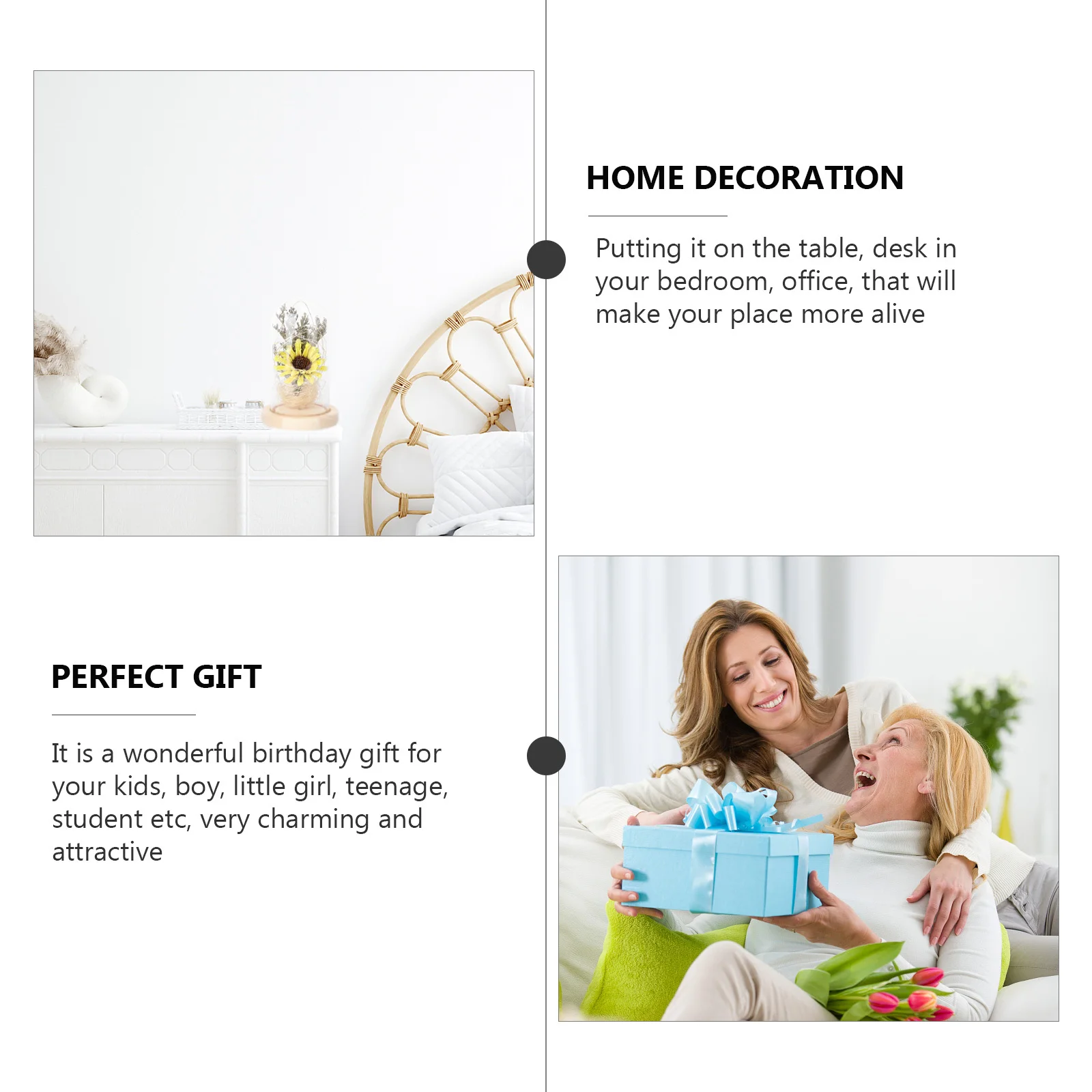 

Sunflower in Glass Compact Size Space Saving Never Withered Natural Ornament Sunflower in The Glass