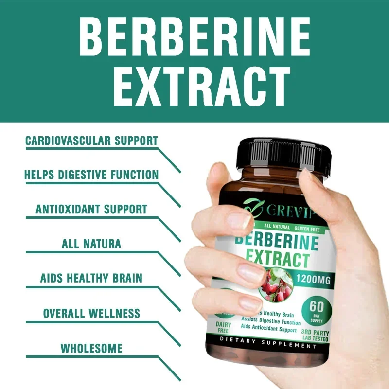 Berberine Extract - Supports Digestive System, Antioxidant, Enhances Cognitive Processes