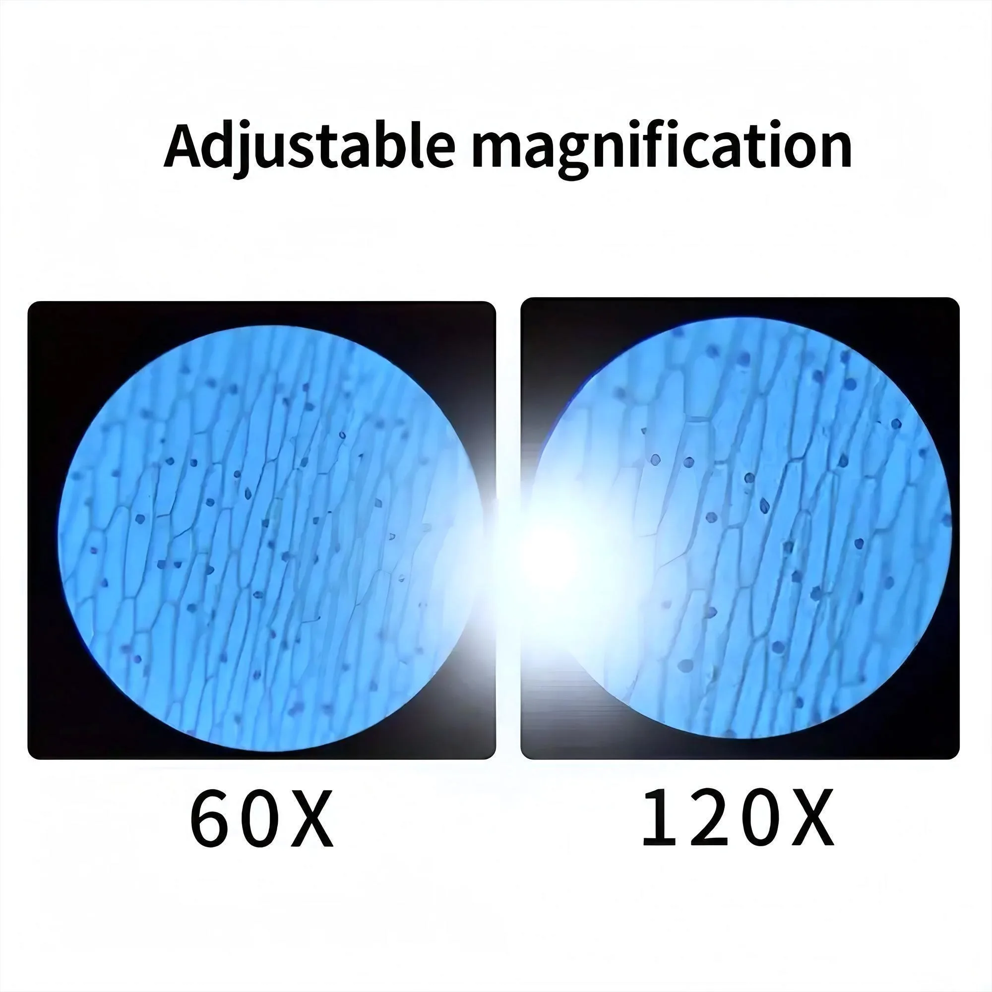 Portable Handheld Microscope for Kids - 60X-120X STEM Pocket Scope