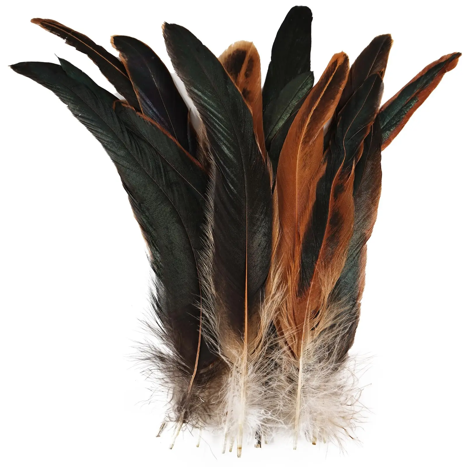 

30-35cm Natural Rooster Tail Feathers Bulk Feather for DIY Sewing Craft Clothing Wedding Party Decoration